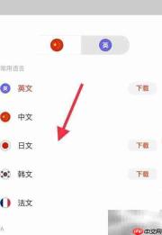 网易有道词典切换中日翻译