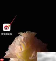 微博国际版浏览器设置更改指南