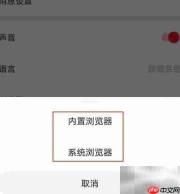 微博国际版浏览器设置更改指南