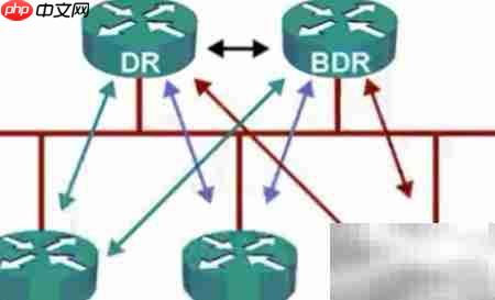 OSPF五种网络类型解析