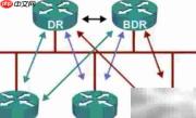 OSPF五种网络类型解析