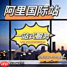 阿里巴巴国际站买家入口在哪