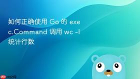 如何正确使用 Go 的 exec.Command 调用 wc -l 统计行数