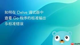 如何在 Delve 调试器中查看 Go 程序的标准输出与标准错误