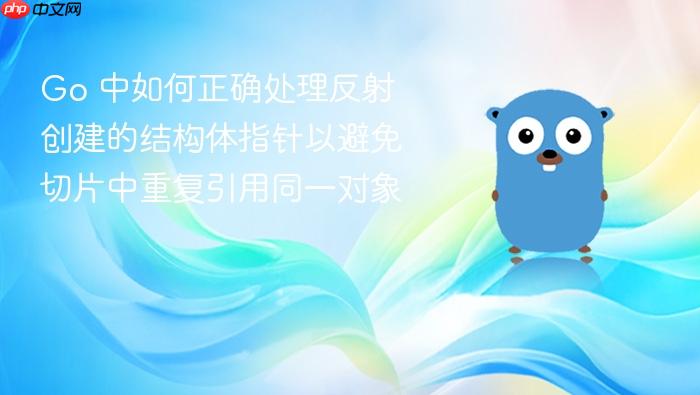 Go 中如何正确处理反射创建的结构体指针以避免切片中重复引用同一对象