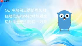 Go 中如何正确处理反射创建的结构体指针以避免切片中重复引用同一对象