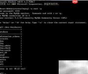 MySQL查看所有数据库