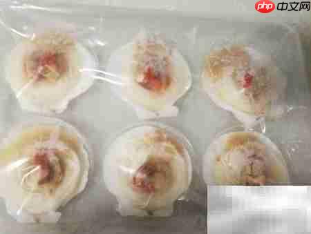 扇贝蒸粉丝的美味吃法
