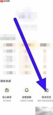 全能翻译如何取消无忧服务