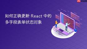 如何正确更新 React 中的多字段表单状态对象

