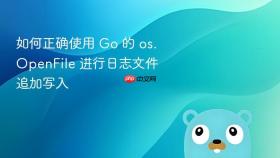 如何正确使用 Go 的 os.OpenFile 进行日志文件追加写入
