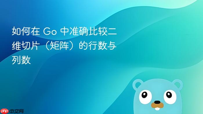 如何在 Go 中准确比较二维切片(矩阵)的行数与列数