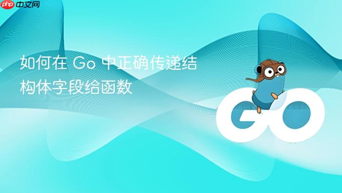 如何在 Go 中正确传递结构体字段给函数