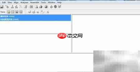 Vector NTI分析测序结果