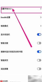 夸克如何开启小字体格式