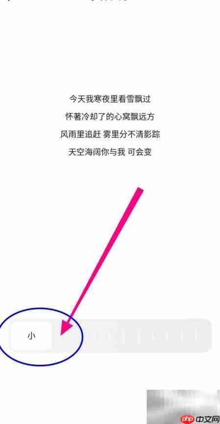 夸克如何开启小字体格式
