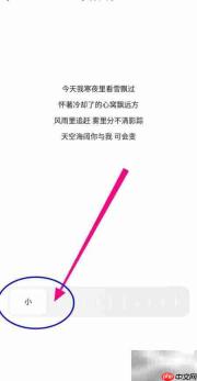 夸克如何开启小字体格式