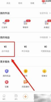 立知讯如何查看总收益