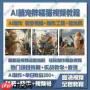 即梦ai怎么制作ai猫狗短视频教程