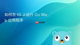 如何在 IIS 上运行 Go Web 应用程序
