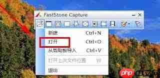 FastStone Capture怎么把照片弄成底片