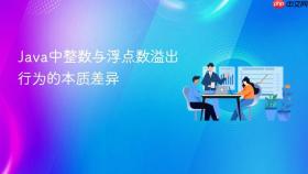 Java中整数与浮点数溢出行为的本质差异
