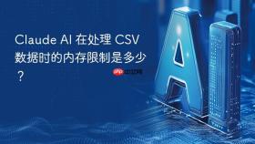 claude ai 在处理 csv 数据时的内存限制是多少？