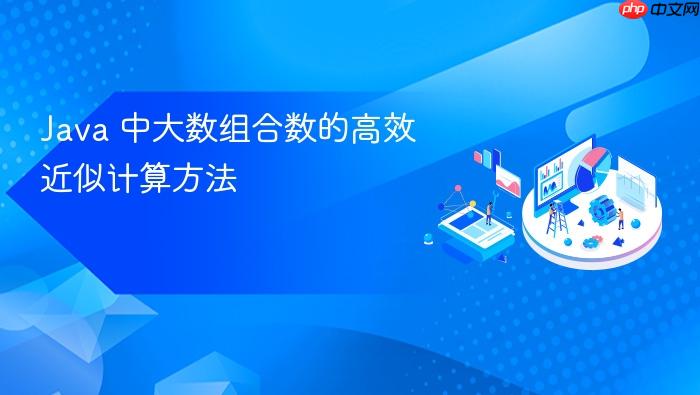 Java 中大数组合数的高效近似计算方法