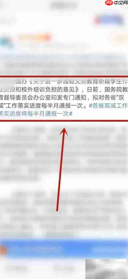 双减政策通报频率