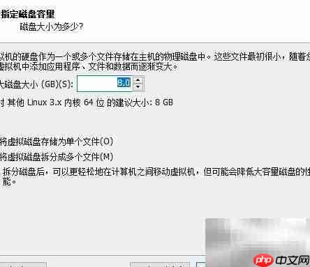 虚拟机安装群晖系统指南