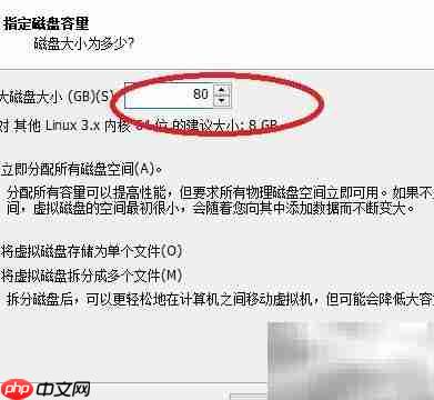 虚拟机安装群晖系统指南