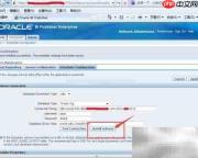 Oracle BIP发布页无法显示