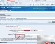 Oracle BIP发布页无法显示