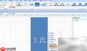 Excel 2015族谱制作指南