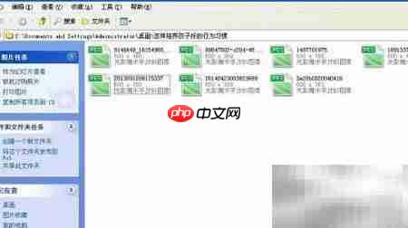图片批量处理技巧