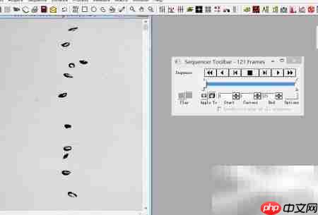Image-Pro Plus 6.0 技巧精要