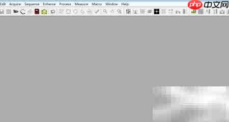 Image-Pro Plus 6.0 技巧精要