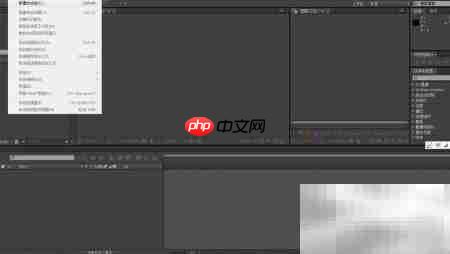 AE启动后必做的第一件事