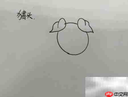 猪头简笔画:笨蛋猪头简单画法