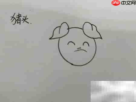 猪头简笔画:笨蛋猪头简单画法