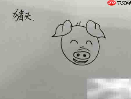 猪头简笔画:笨蛋猪头简单画法