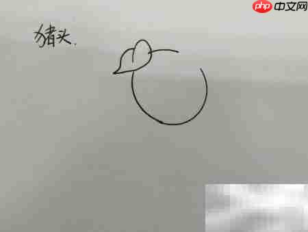 猪头简笔画:笨蛋猪头简单画法