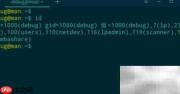 deepin 20查看用户所属组方法