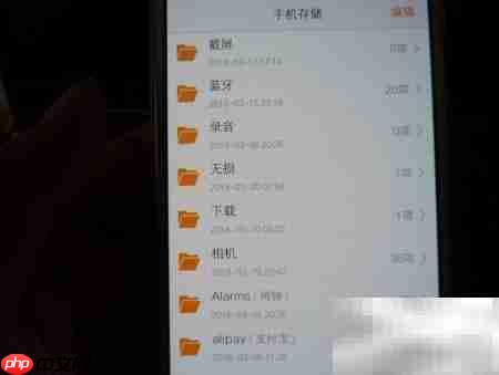 VIVO解决CUE整轨播放问题
