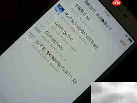 VIVO解决CUE整轨播放问题