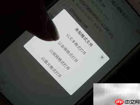 VIVO解决CUE整轨播放问题
