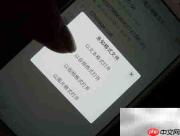 VIVO解决CUE整轨播放问题