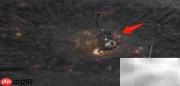 艾尔登法环星兽半颚获取指南
