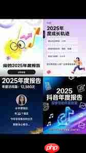 如何查看抖音2025年度报告