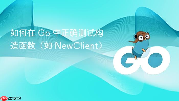 如何在 Go 中正确测试构造函数(如 NewClient)
